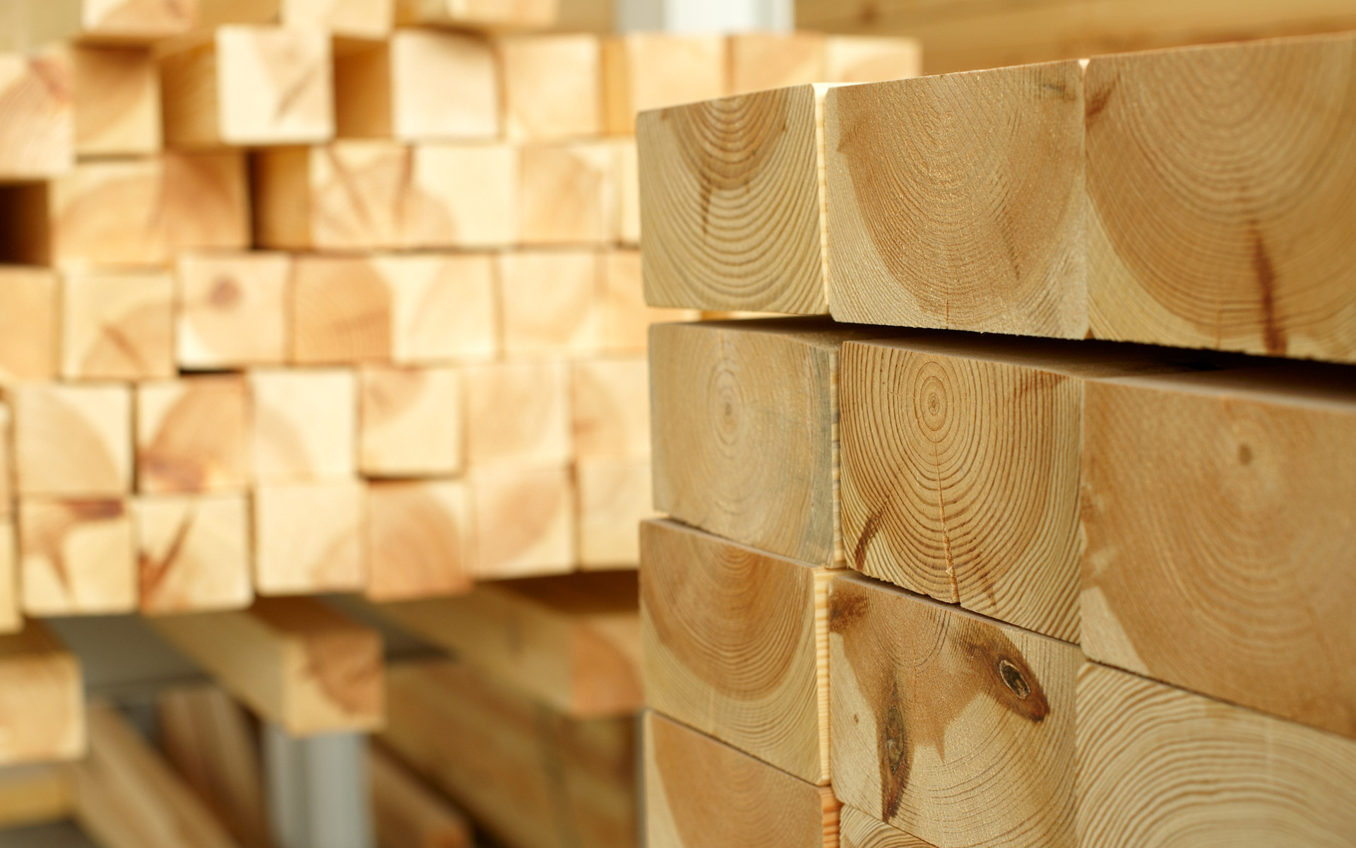 HBB Holzbau Bayern GmbH & Co. KG Headerbild HBB Holzbau Bayern GmbH & Co. KG